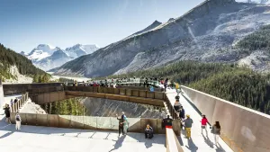 Icefields Parkway Discovery Tour
